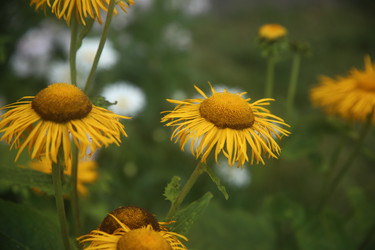 Similar image 22315213