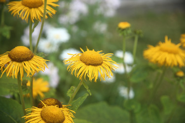 Similar image 22315214