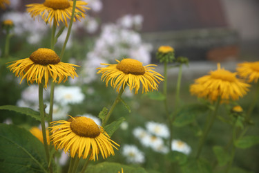 Similar image 22315215