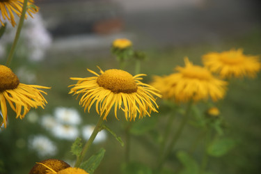 Similar image 22315216