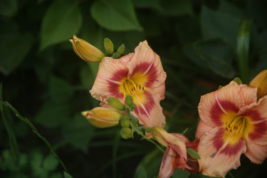 Similar image 22315217