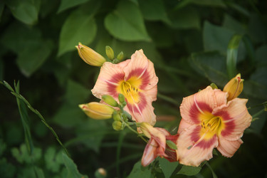 Similar image 22315218