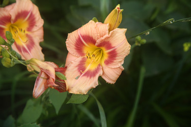 Similar image 22315219