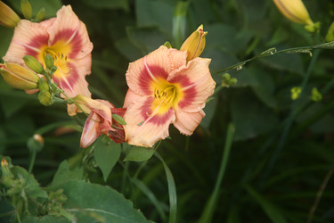 Similar image 22315220