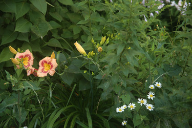 Similar image 22315221