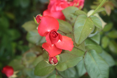 Similar image 22315222