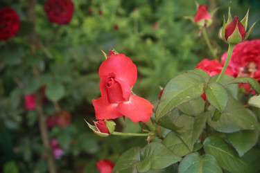 Similar image 22315223