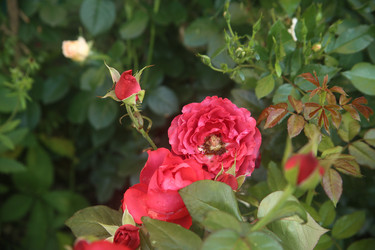 Similar image 22315224