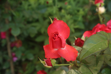 Similar image 22315225