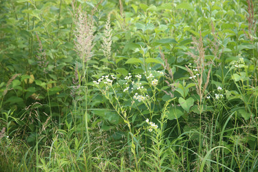 Similar image 22317217