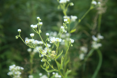 Similar image 22316568