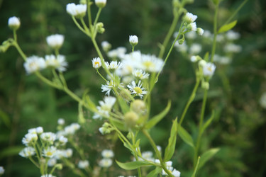 Similar image 22316569