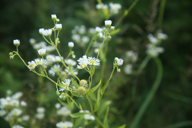 Similar image 22316571