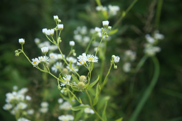 Similar image 22316572