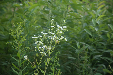 Similar image 22316573