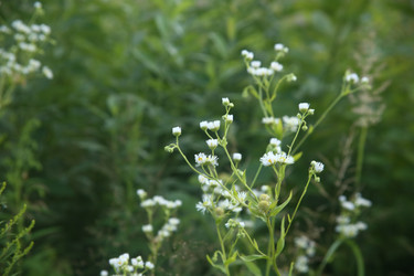 Similar image 22316574