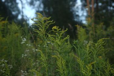 Similar image 22317218