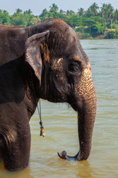 Similar image 22309782