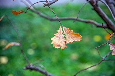 Similar image 22294596