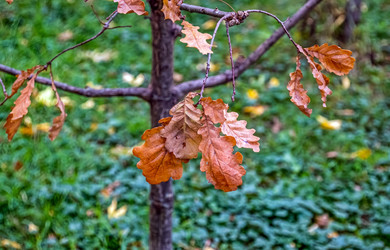 Similar image 22294597