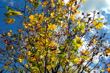 Similar image 22294601