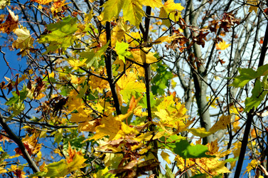 Similar image 22294602