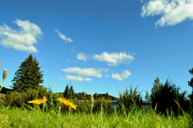 Similar image 22294603