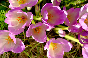 Similar image 22294606