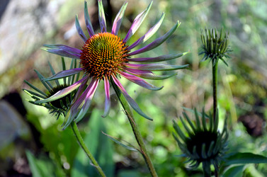 Similar image 22294607