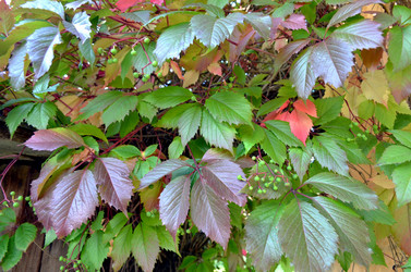 Similar image 22294608