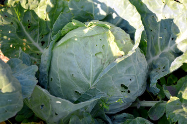 Similar image 22294609