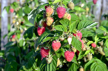 Similar image 22294610