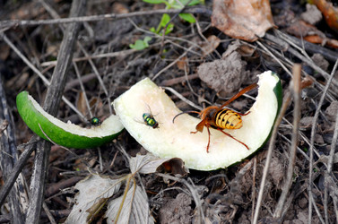 Similar image 22294611