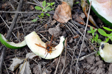 Similar image 22294612