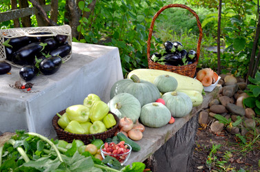 Similar image 22294613