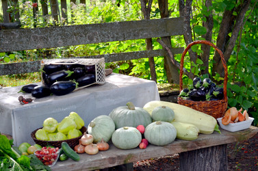 Similar image 22294614