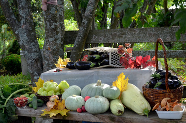 Similar image 22294616