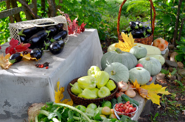 Similar image 22294617