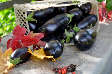 Similar image 22294618