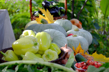 Similar image 22294619