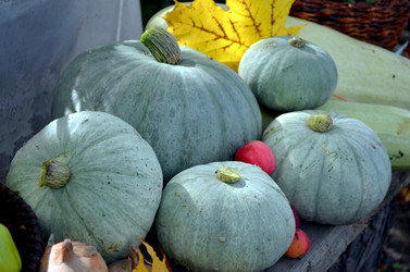 Similar image 22294621