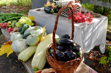 Similar image 22294623