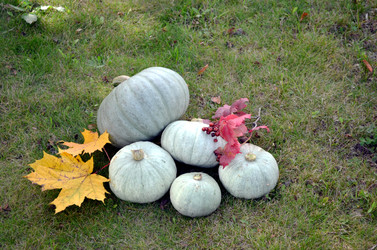 Similar image 22294625