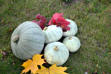 Similar image 22294626