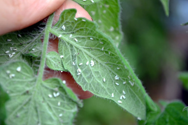 Similar image 22294628