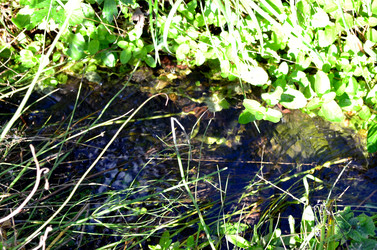 Similar image 22294638