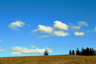 Similar image 22294639