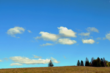 Similar image 22294640