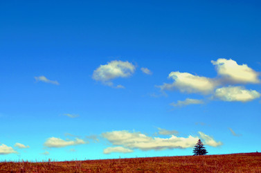 Similar image 22294641