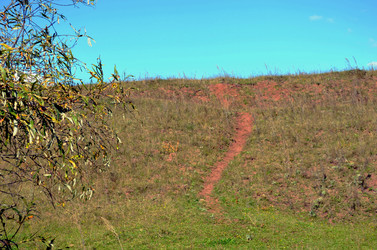 Similar image 22294642